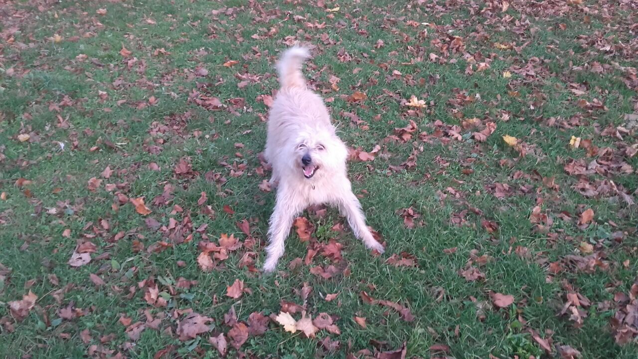 2084FFD6-D691-44B3-B958-2DC917D15C5E