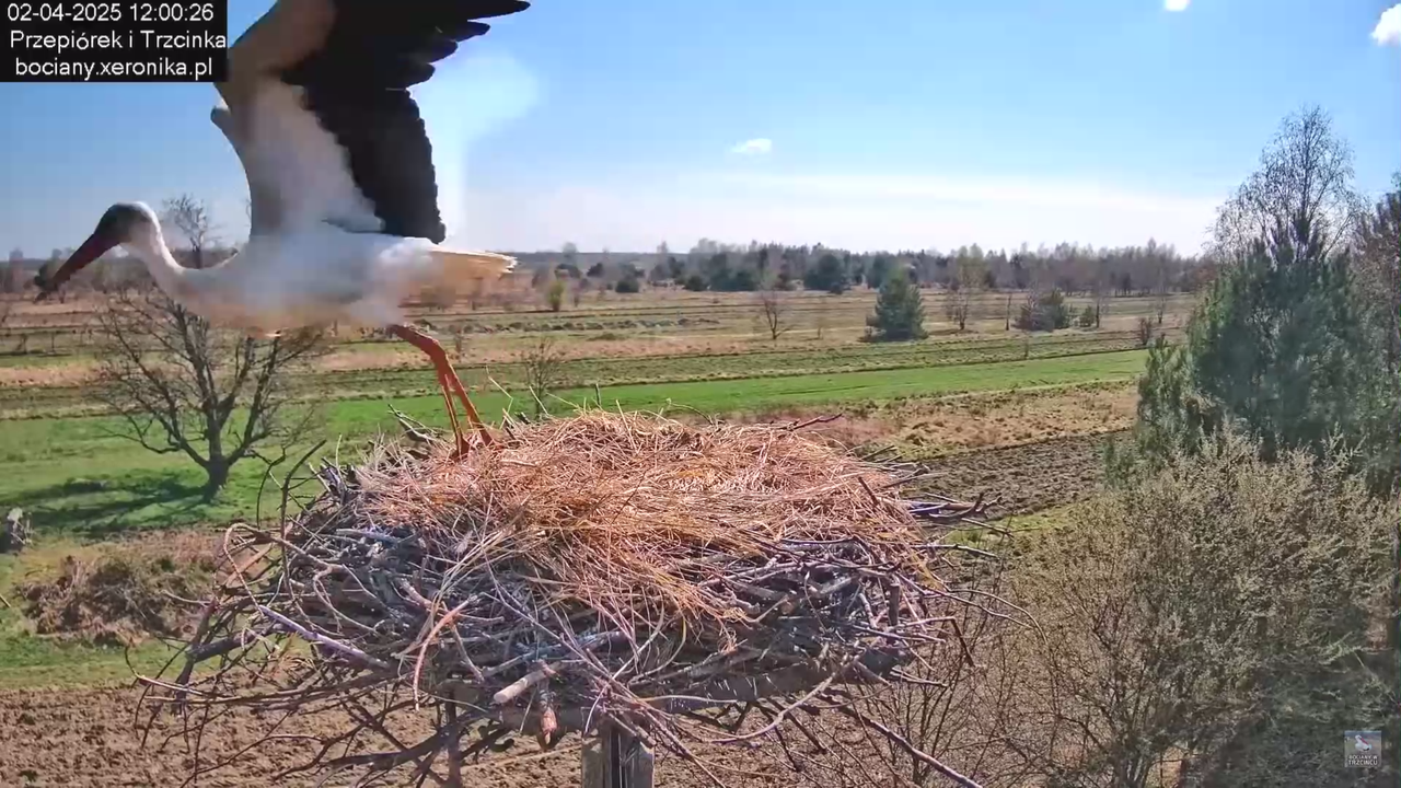 02042025krotkawizytabocka_35