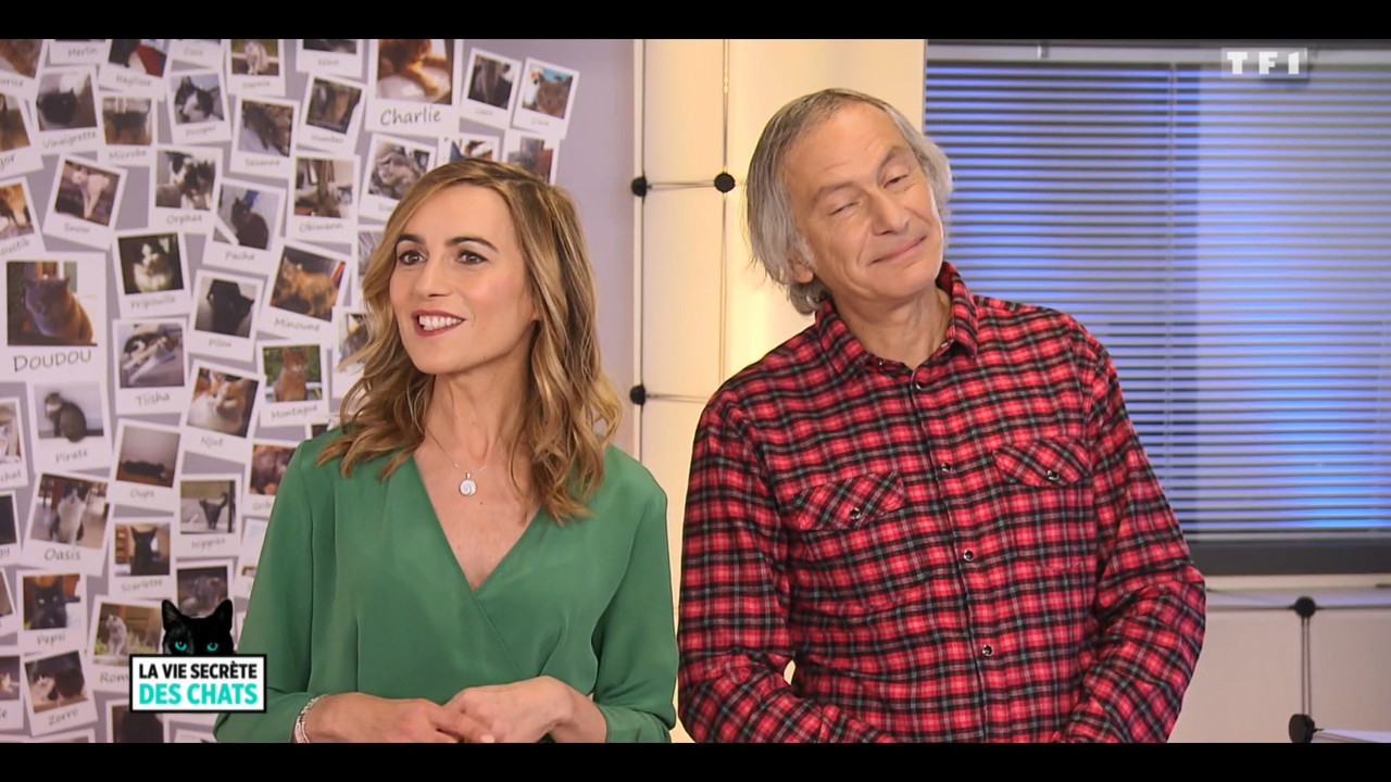 2020-05-30_10_35_TF1_La-vie-secrete-des-chats_Chats-et-sentiments-avec-Charlotte-Valan.mp4_snapshot_