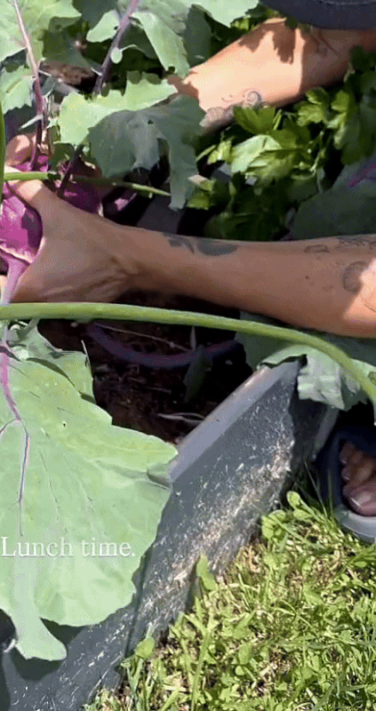 kopita-ezgif.com-video-to-gif-converter