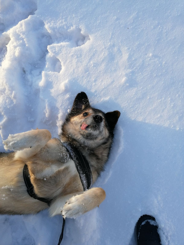 06F53FDA-AEF9-4A0D-944A-6B249D8E9AB2