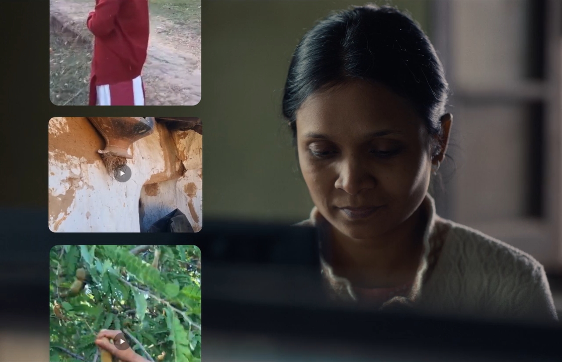 Humans in the Loop 2025 WebRip [Hindi] 480p 720p ESub Screenshot