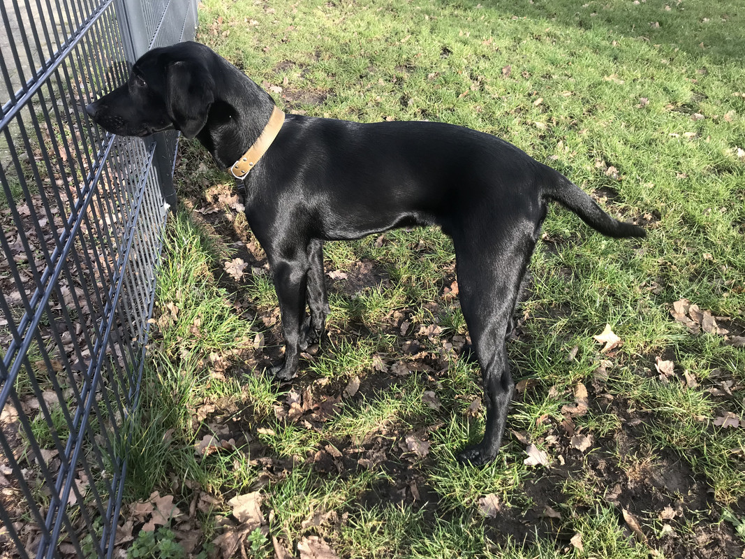 A3C8616D-9C1D-42D2-AC3D-8BBB795C5267