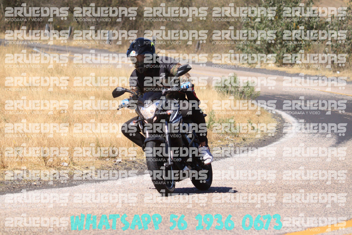 MG 1246 — Postimages