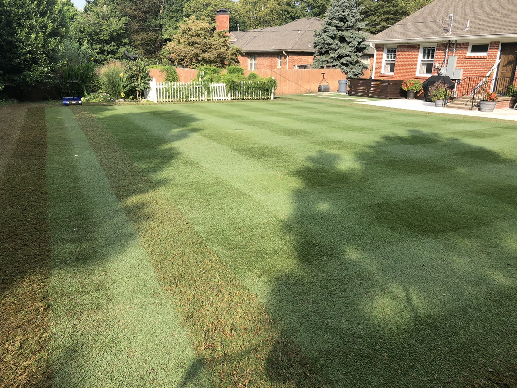 B92476F2-9FE1-471A-A5C7-42DE4C7A9FA2