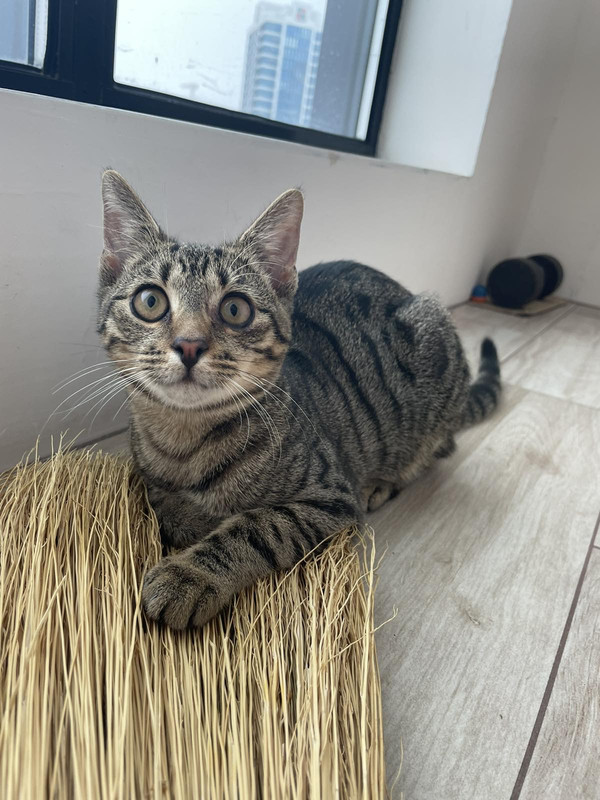 3CFE597D-328F-41B5-BBF0-1D5D4B5292CB