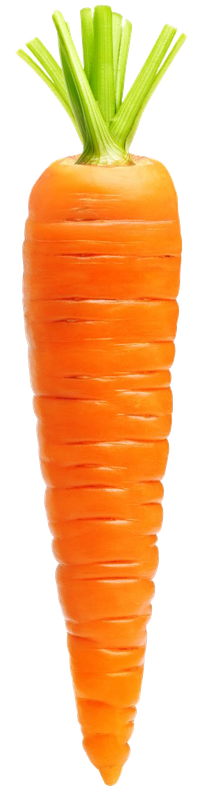 carrot