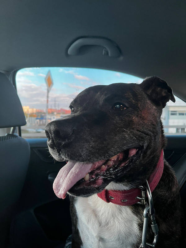 17D12327-2A4D-4D72-9A43-B675EB6C5F5C