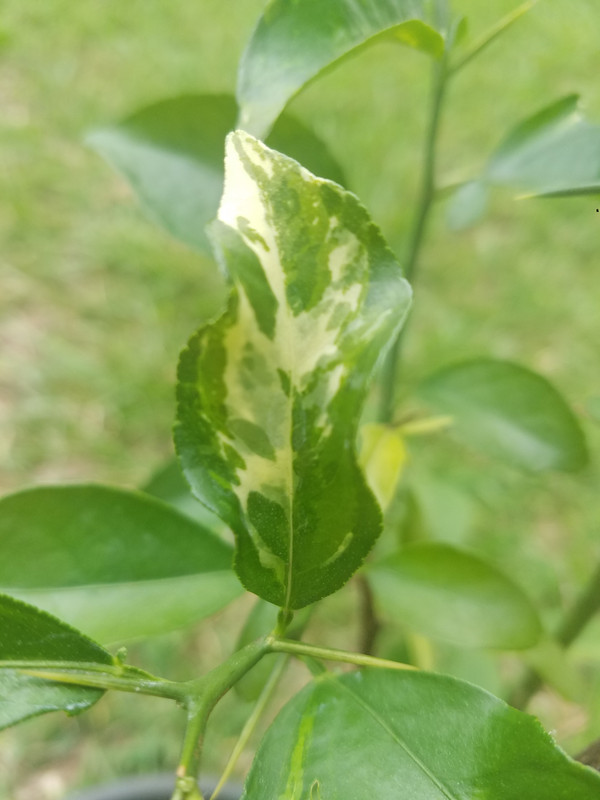 20190609_151348