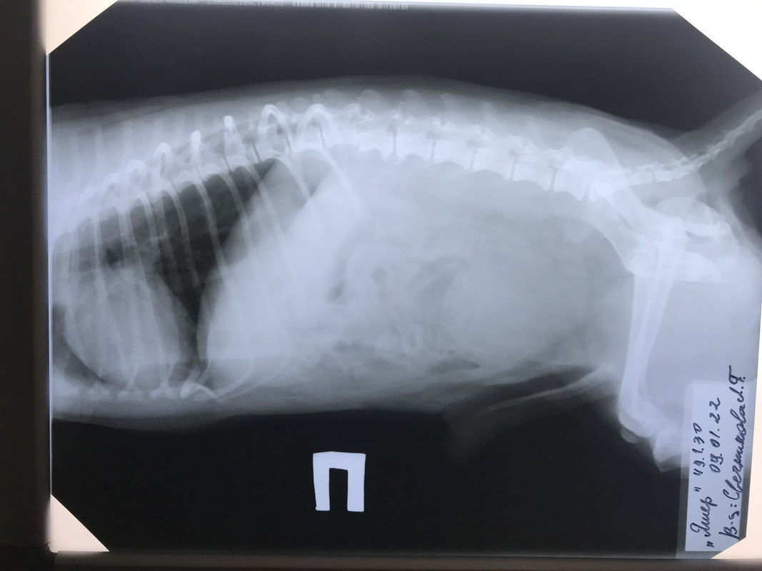 EE6A4C16-A965-47DD-89E5-F0795D38FEA2