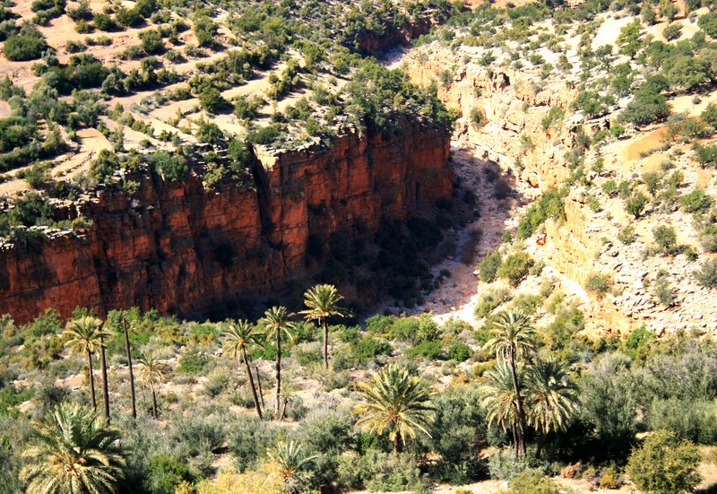 Immouzzer des Ida Outanane, Ruta-Marruecos (1)