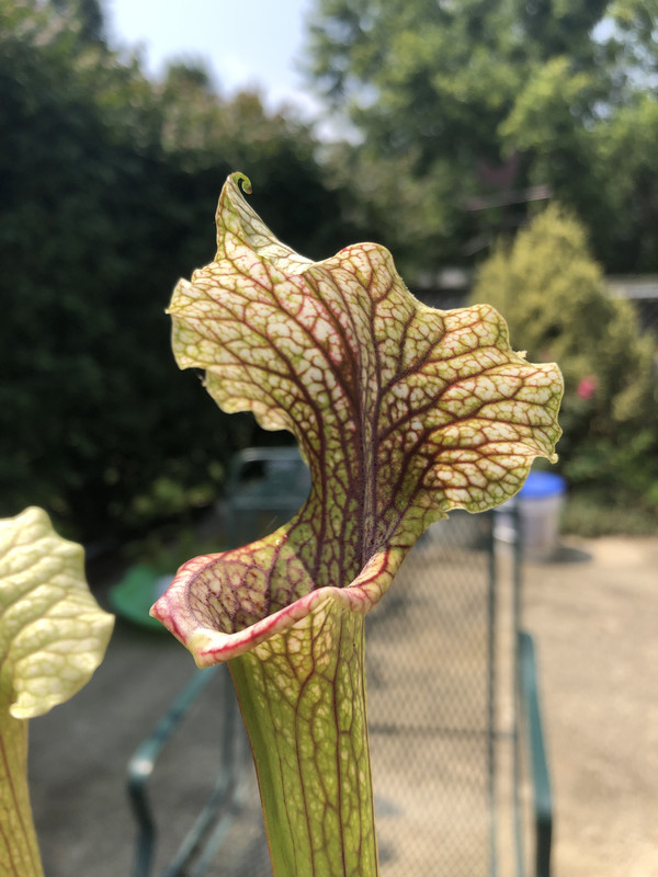 3DC27A52-5B74-46DC-8FA5-1830AB0CED20