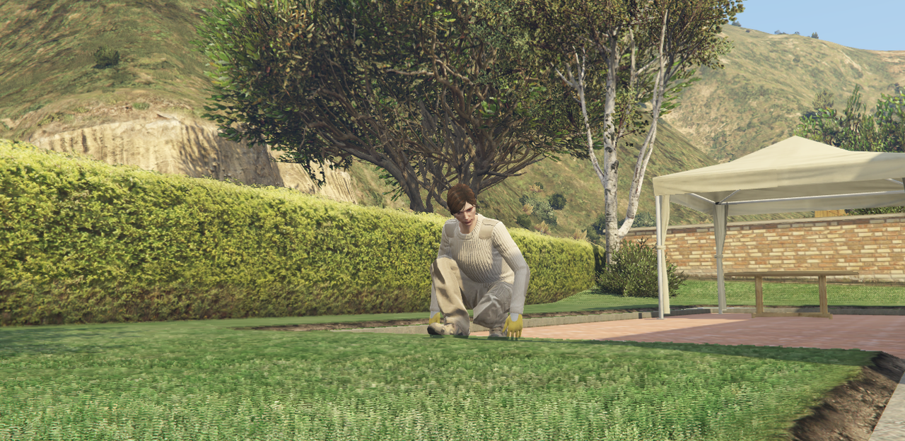 ca6.png