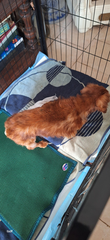 [Image: 20250405-113752.jpg]