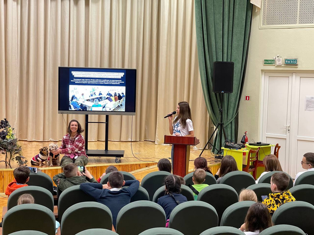 87353BBA-8442-4729-81F9-24A38538FAB8