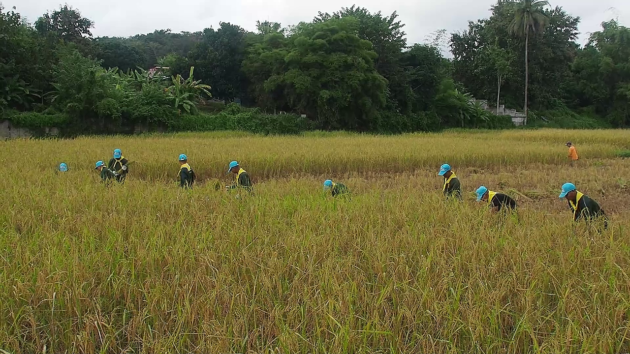 vlcsnap-2025-11-10-09h40m22s100