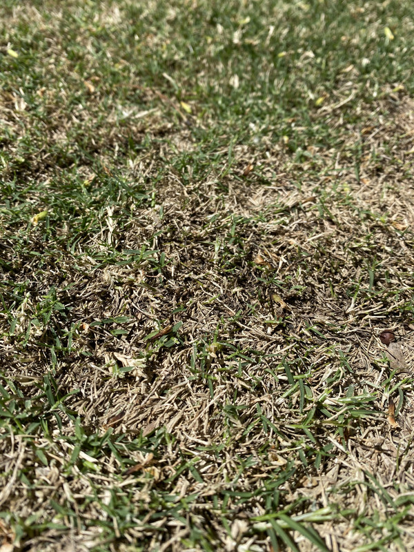 E9228EF4-2A1F-4D06-B767-788CE5260182