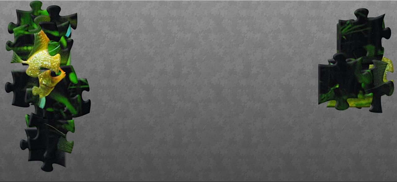 macarin-28-06-11 (20 pieces)