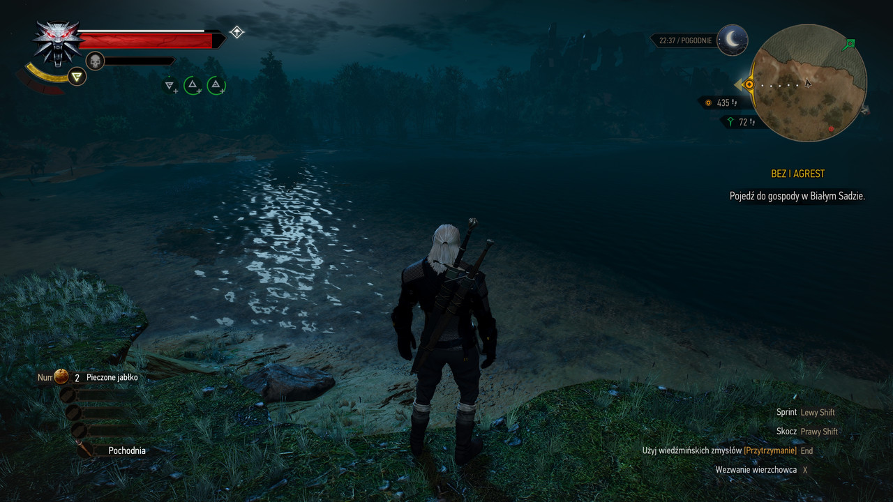 witcher3_2023_01_11_08_21_14_830