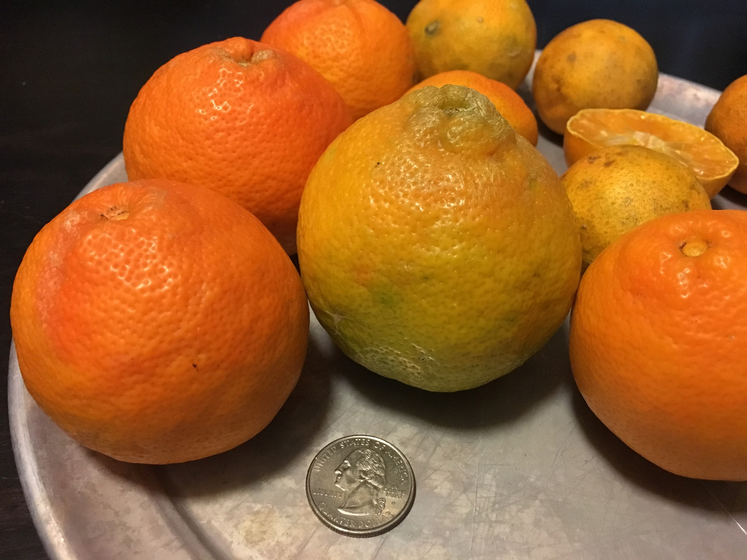 5C8A6A00-D293-4472-B43C-EA0CF7EB876D