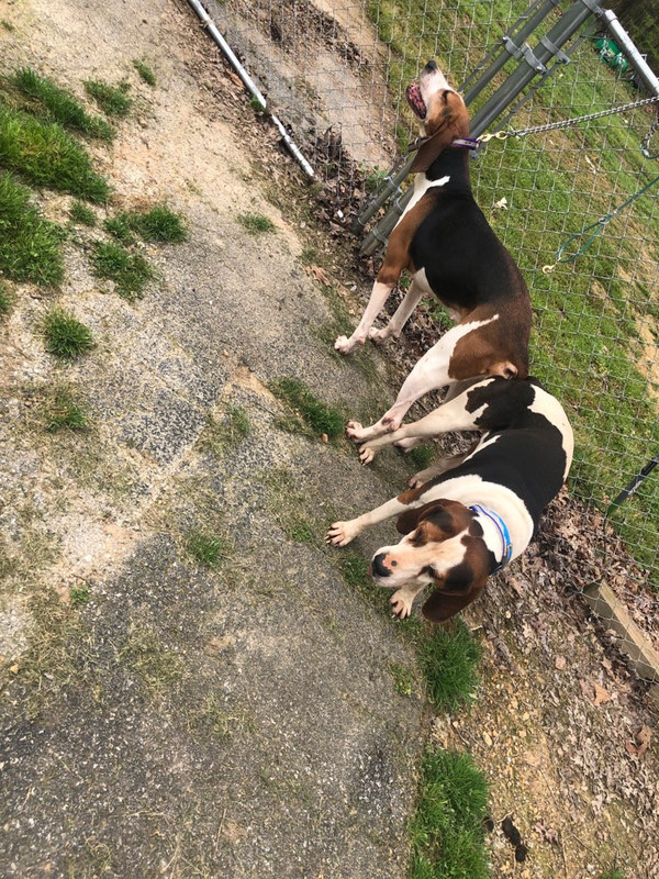 B9930333-62F2-4058-BF2B-DA58EB33FE70