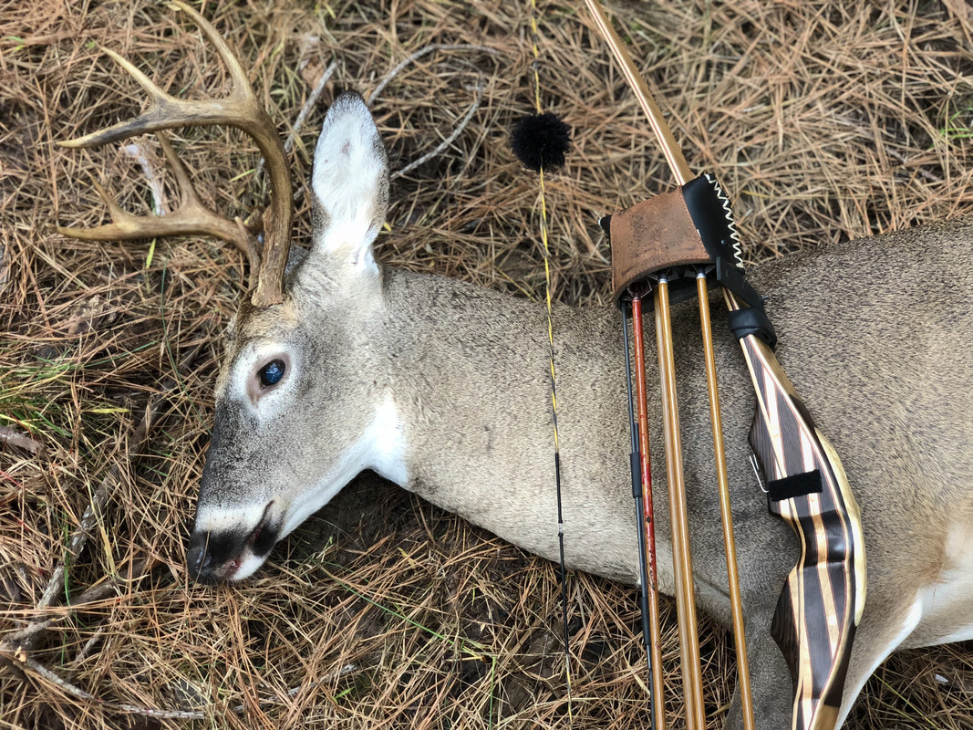 4B7CF794-599A-4C3E-B90E-A047920C6785