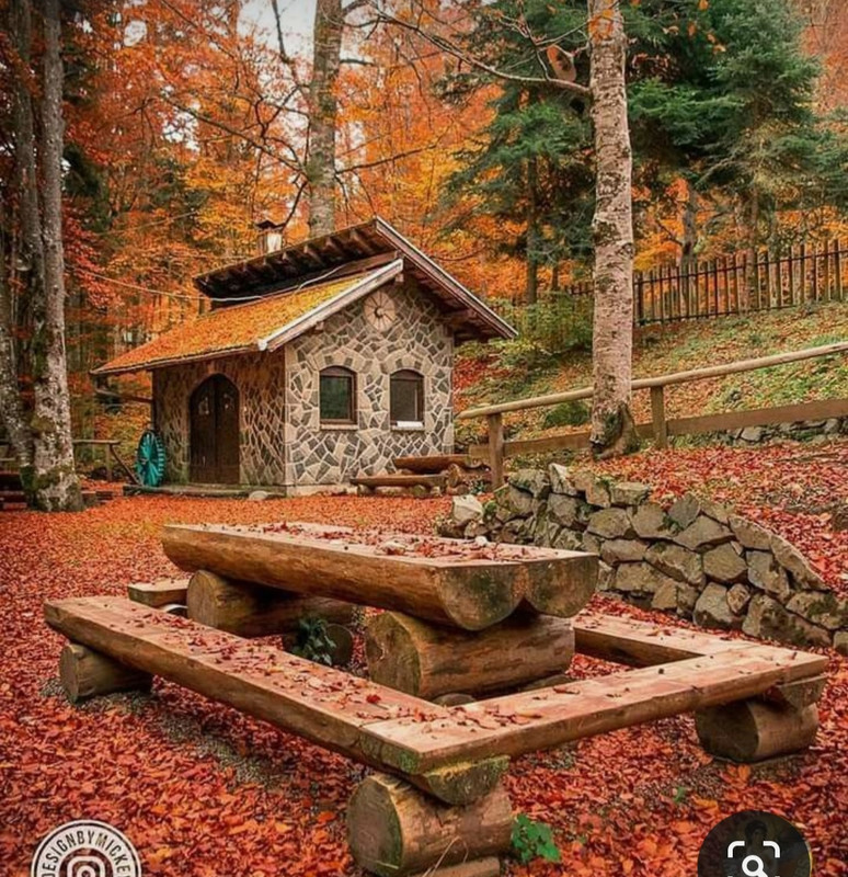 Screenshot_20231119_102212_Pinterest