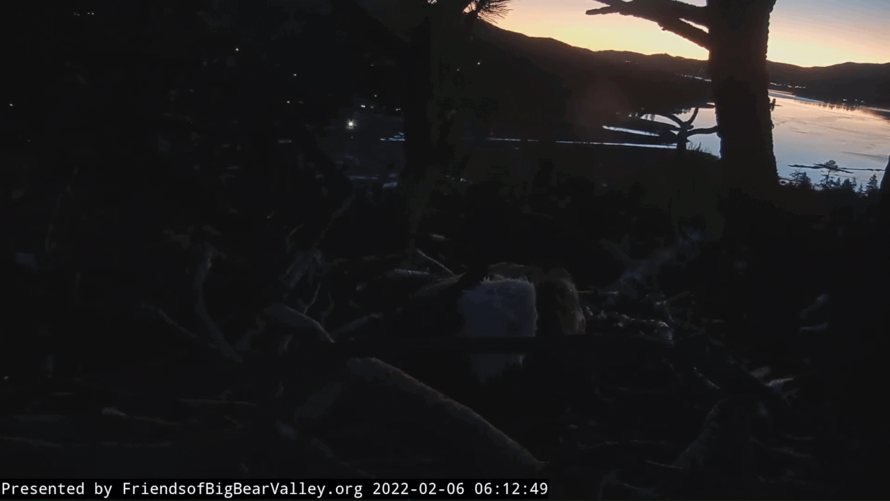 Webp.net-gifmaker (1)