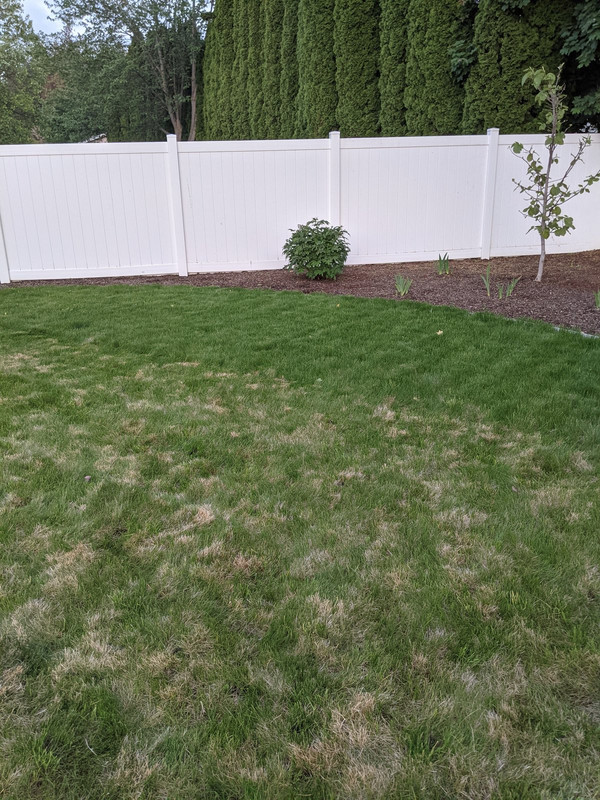 PXL_20210528_032414376