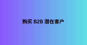 购买 B2B 潜在客户