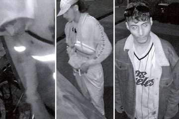  Drei Araber/Maghreb/Türke - Polizei Brandenburg - Fahrrad-Diebe - Oranienburg