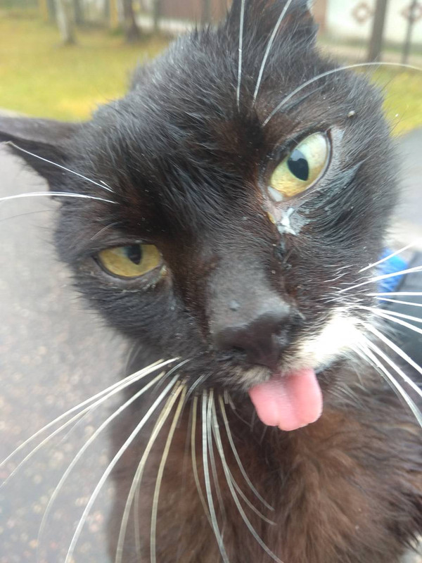 в санатории2