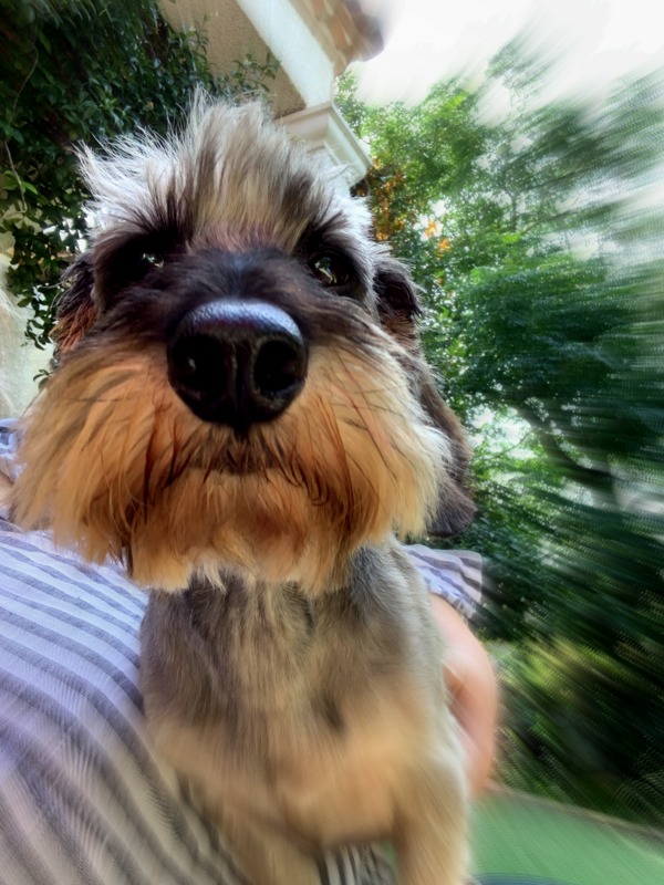 [Image: IMG-1205.jpg]