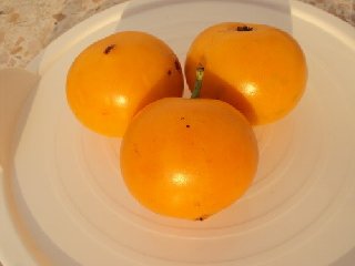 3ผลของมะพูดมี