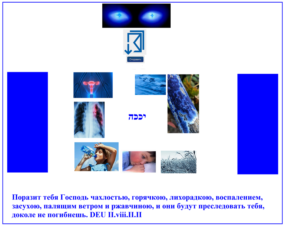 https://i.postimg.cc/vBWSWvhv/1337.png