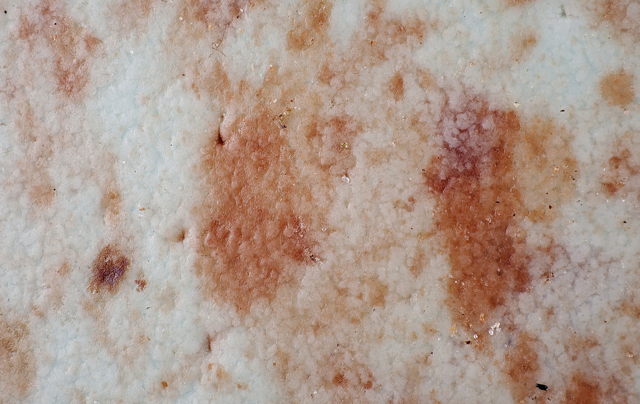 oeuf_exterieur2000px10x