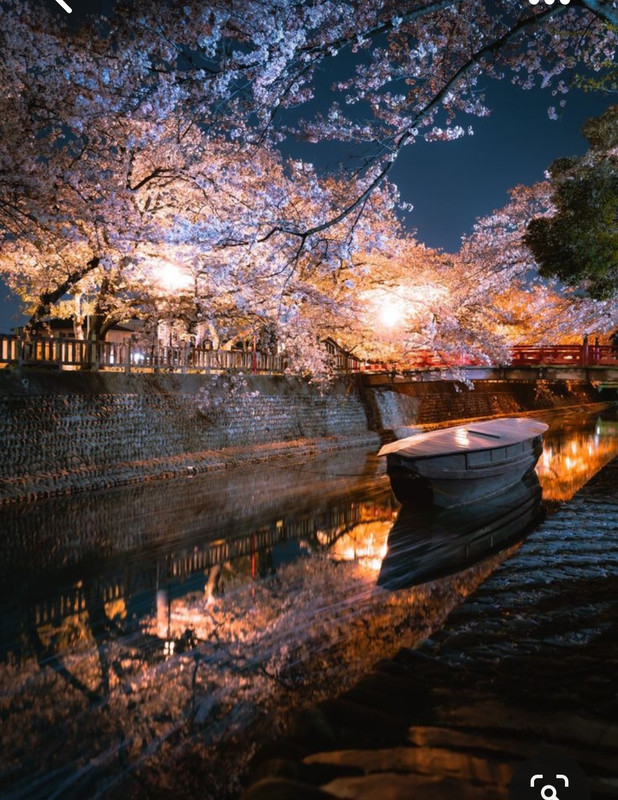 Screenshot_20230816_235941_Pinterest