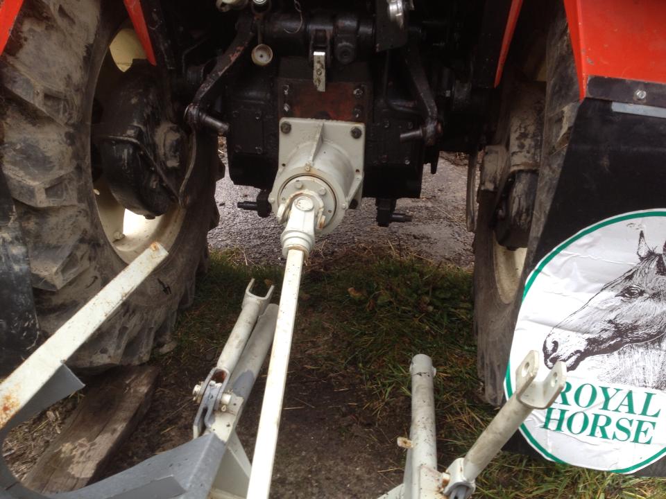 1377036_10200798541790463_952053231_n