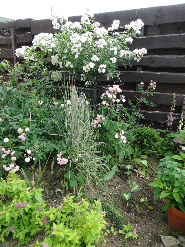 DSC08005