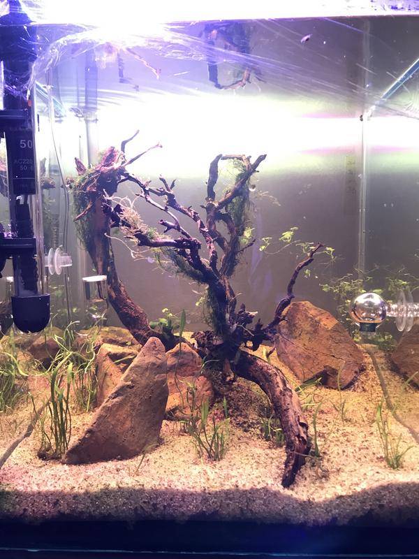 BFDFFA9B-7C7C-49E5-B1C6-FDA4B326E975