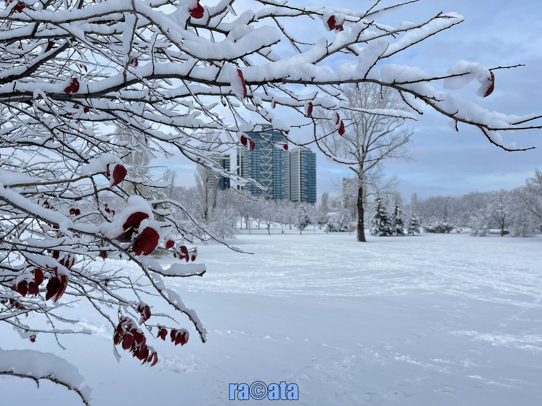 batch IMG 2432 — Postimages