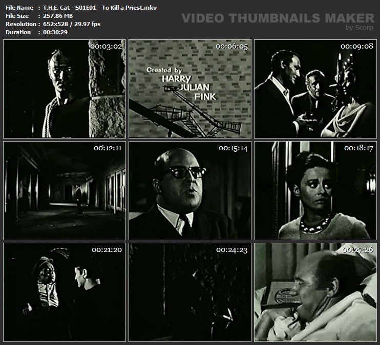 T.H.E. Cat - S01E01 - To Kill a Priest.mkv