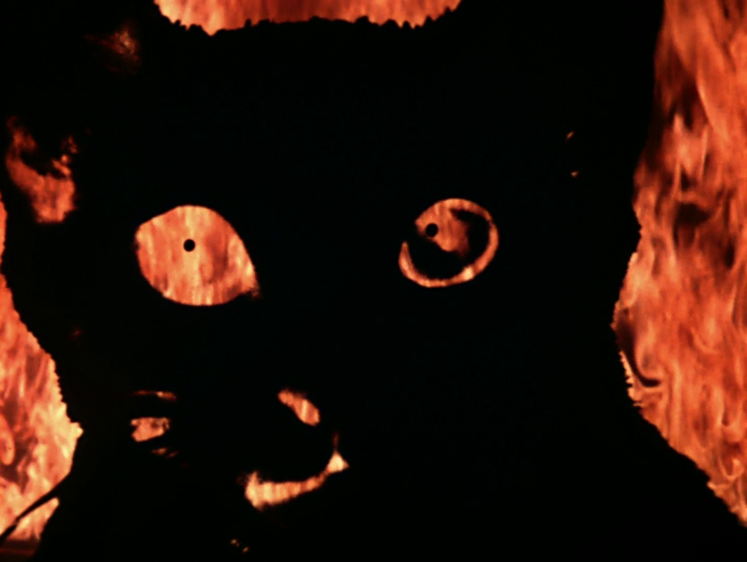 vlcsnap-2025-06-08-02h05m51s750