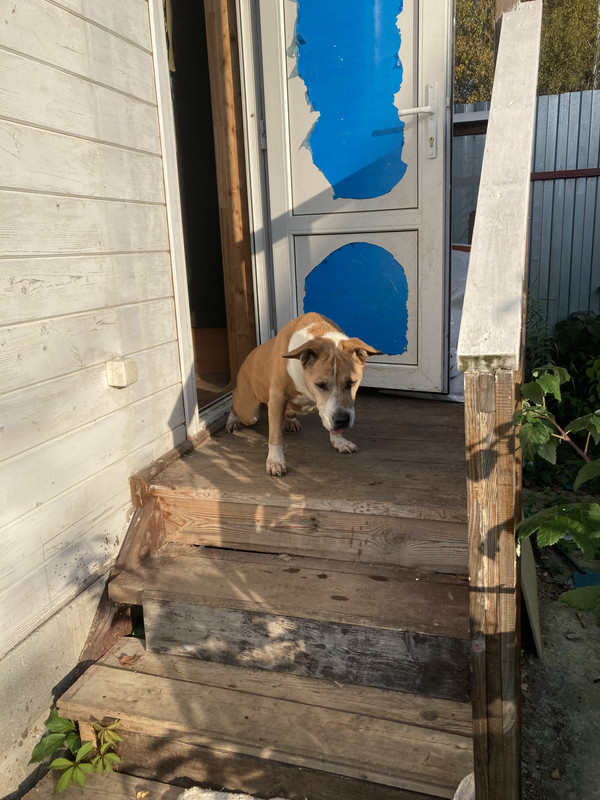 CC188EAF-7AB4-4D8E-8BAF-4979FC831B9C