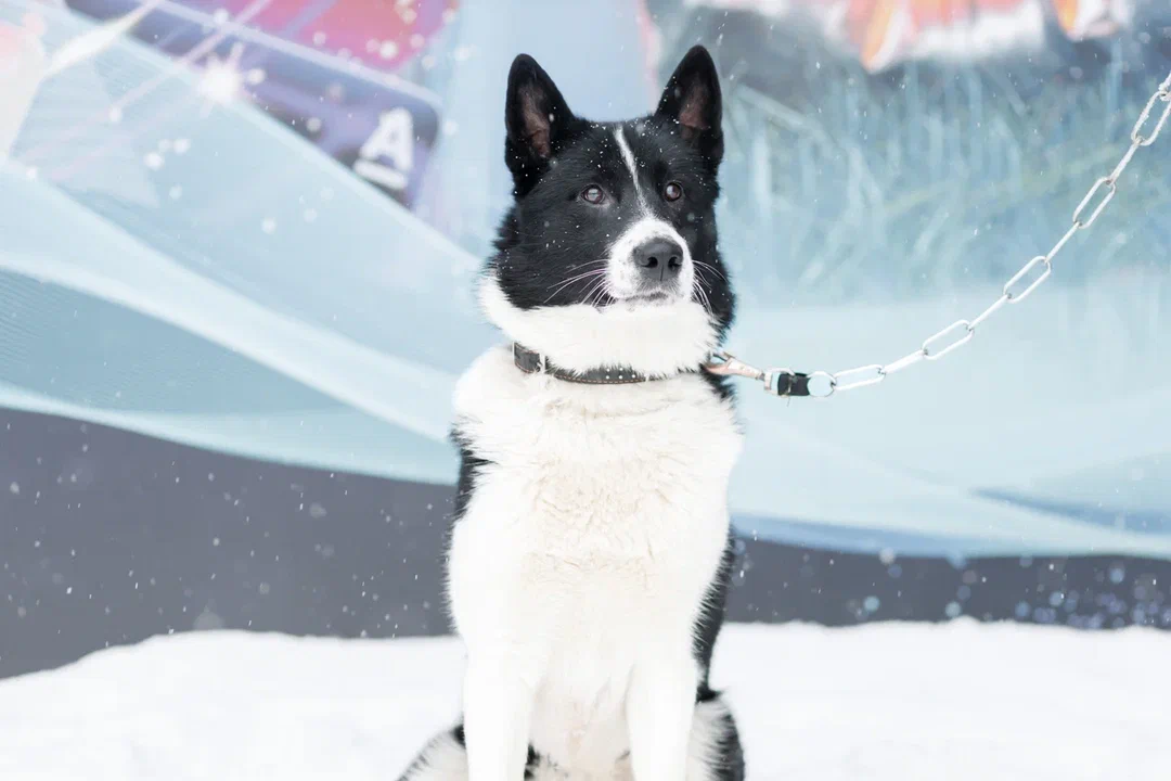 qhJ7kYLGhSAkF4uijJWzm_wAOY4ti6lhwj-f9XY-5mZiMsMYEBN0LiOwKFT8lUxk-o10jmdj-Wvwrl-ZOL8ukg==?uid=0&filen