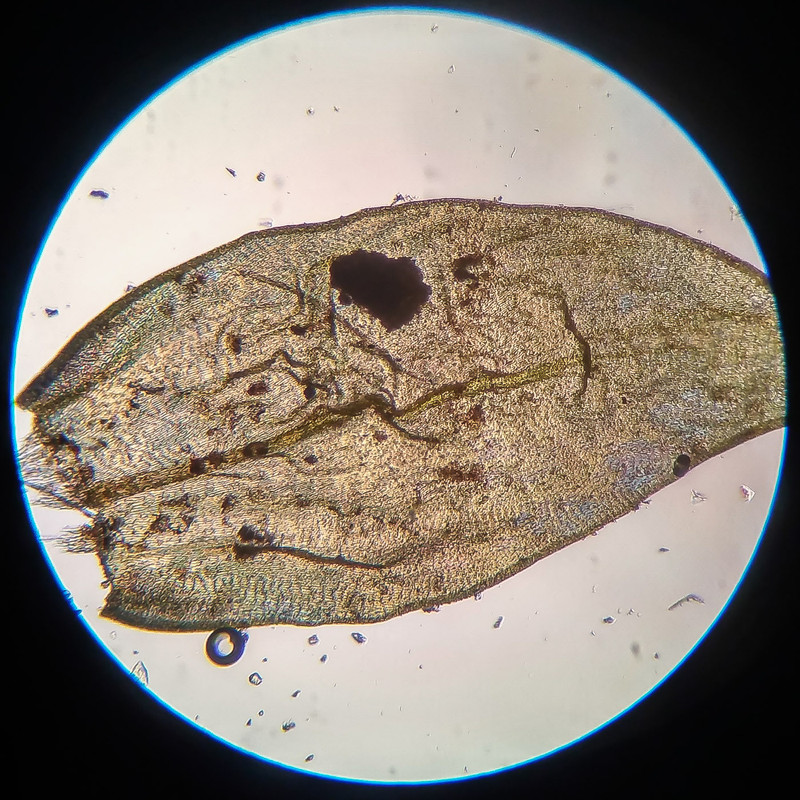 IMG 20250616 210551 HDR