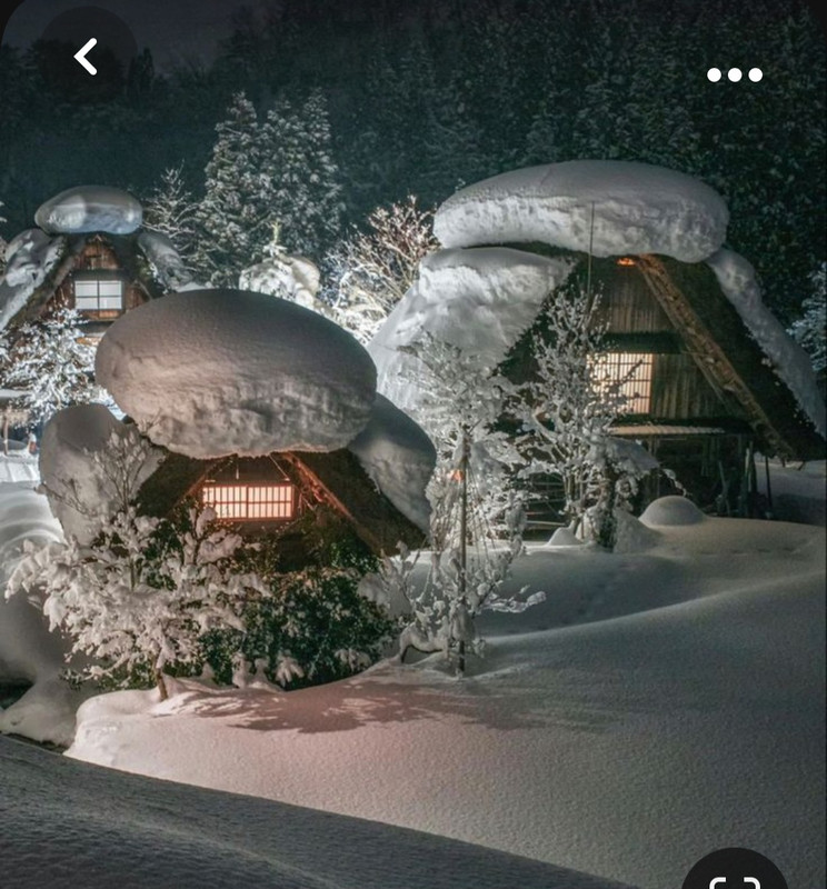 Screenshot_20231024_232624_Pinterest