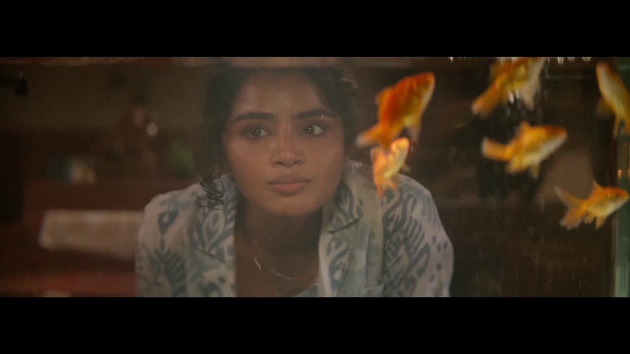 vlcsnap 2025 11 09 16h39m59s179