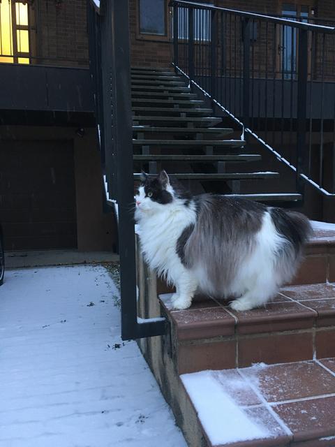 749-EC026-31-D4-48-F5-92-E9-BF44-AC5-EB9