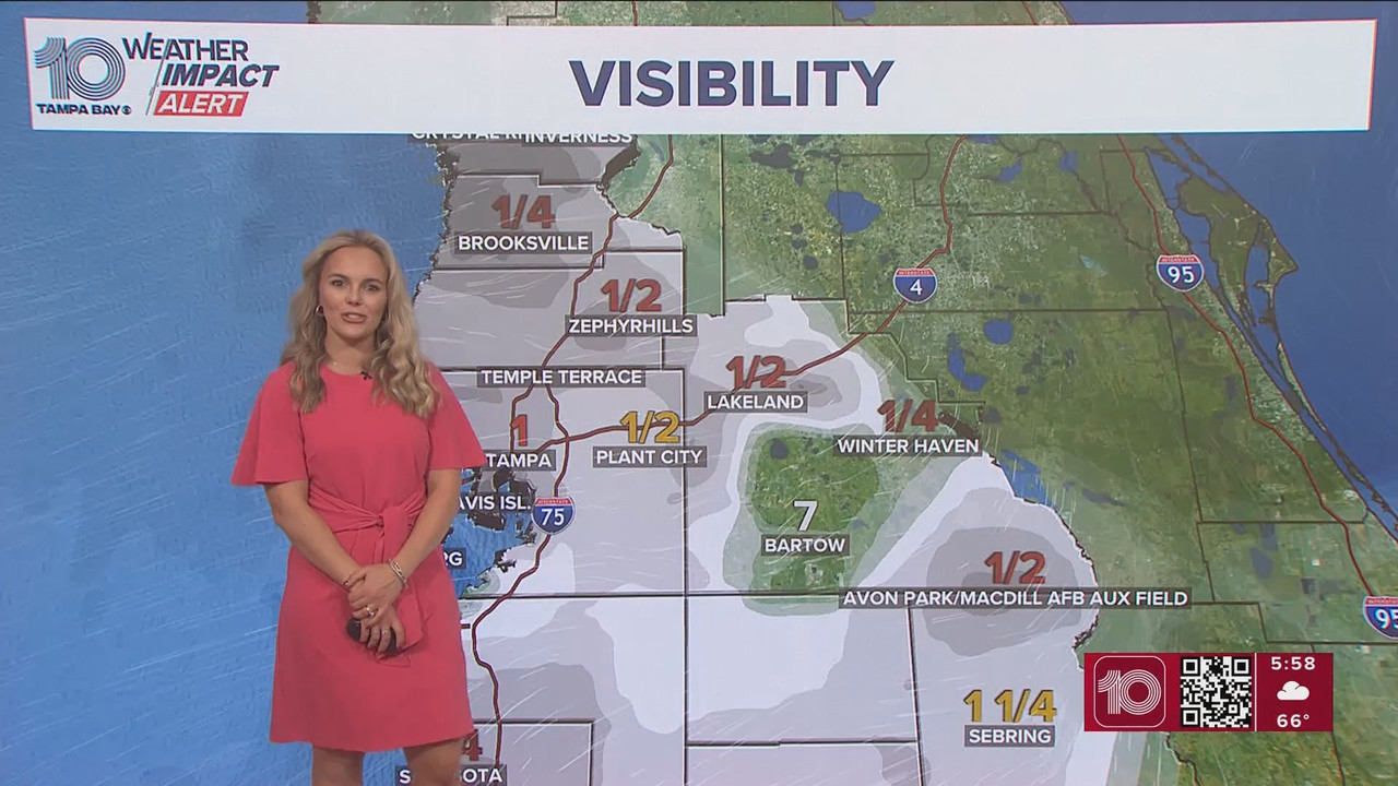 10 Tampa Bay News This Morning at 600 a m 20251124 11001200 ts snapshot 00 04 828